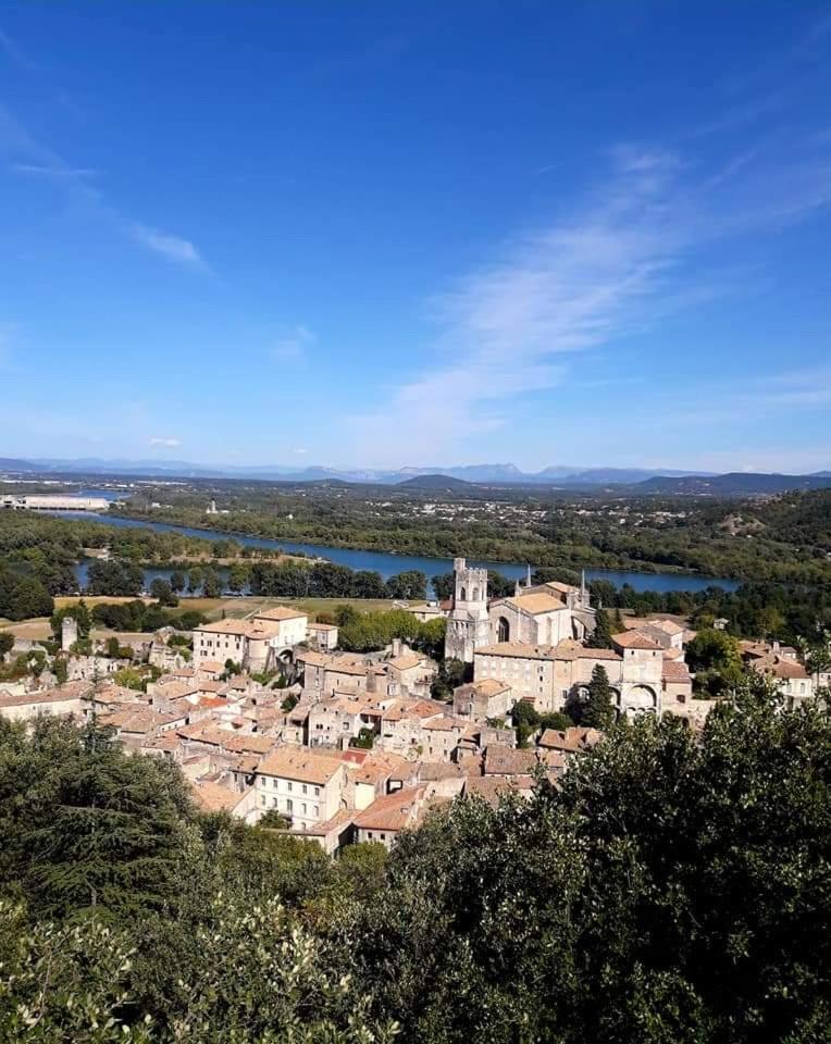 Rhone Viviers